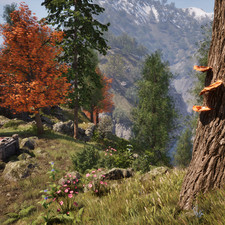 Cinnabar Polypore (Alkanet, Flax)