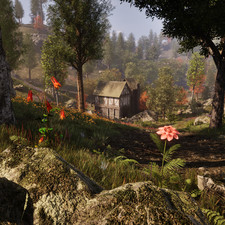 Columbine, Domica Redwort