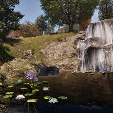 Sacred Lotus, Water Hyacinth