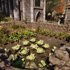 Carrot, Dragon's Tongue, Flax, Ginseng, Lettuce (Columbine)