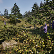 Monkshood (Foxglove)