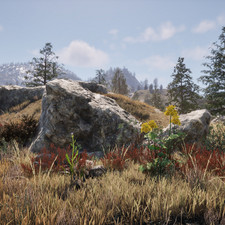 Lady's Mantle, Milk Thistle