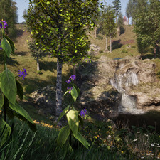 Nightshade (Sacred Lotus, Water Hyacinth)