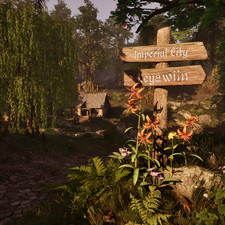 St Jahn's Wort, Tiger Lily, Primrose