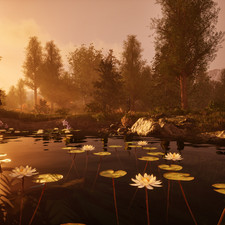 Sacred Lotus, Water Hyacinth