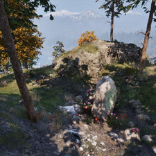 Bergamot, Elf Cup, Fly Amanita (Monkshood, Steel-Blue Entoloma)