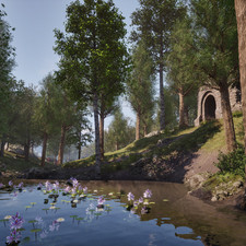 Sacred Lotus, Water Hyacinth (Nirnroot)