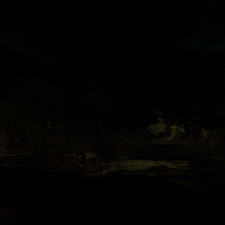 Weather ID: 10e1ed<br>Drajkmyr Marsh, facing West, 01:00