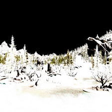 Weather ID: 10da13<br>Drajkmyr Marsh, facing West, 01:00